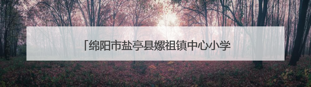 绵阳市盐亭县嫘祖镇中心小学召开六年级质量提升工作会