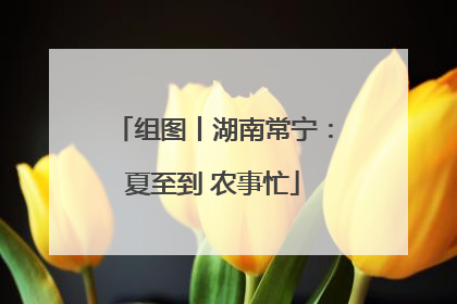 组图丨湖南常宁：夏至到 农事忙