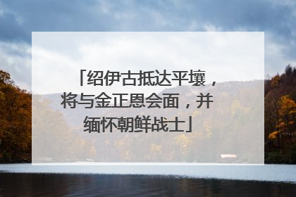 绍伊古抵达平壤，将与金正恩会面，并缅怀朝鲜战士