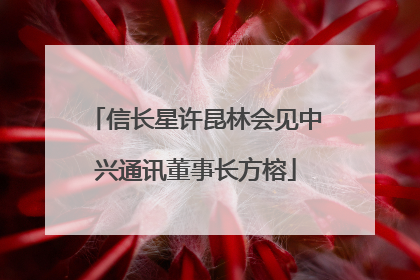信长星许昆林会见中兴通讯董事长方榕