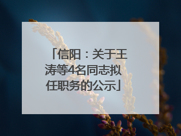 信阳：关于王涛等4名同志拟任职务的公示