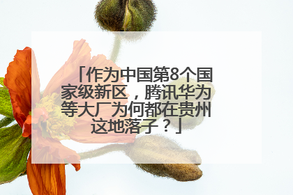 作为中国第8个国家级新区，腾讯华为等大厂为何都在贵州这地落子？