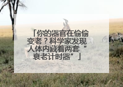 你的器官在偷偷变老？科学家发现人体内藏着两套“衰老计时器”