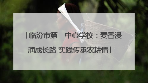 临汾市第一中心学校：麦香浸润成长路 实践传承农耕情