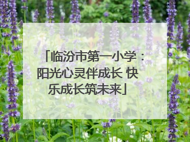 临汾市第一小学：阳光心灵伴成长 快乐成长筑未来