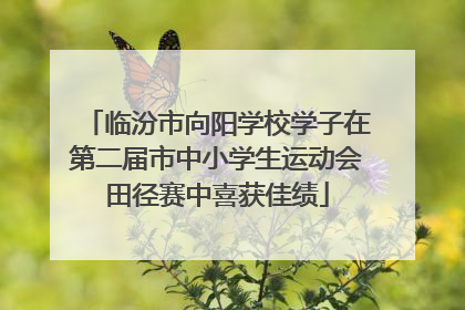 临汾市向阳学校学子在第二届市中小学生运动会田径赛中喜获佳绩