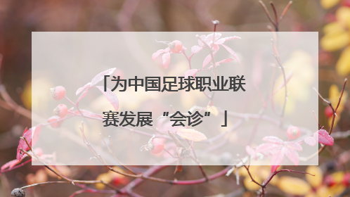 为中国足球职业联赛发展“会诊”