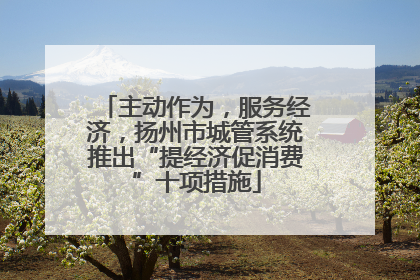 主动作为，服务经济，扬州市城管系统推出“提经济促消费”十项措施