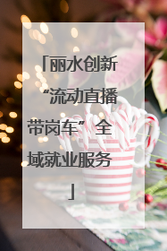 丽水创新“流动直播带岗车”全域就业服务