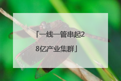 一线一管串起28亿产业集群