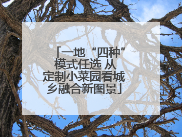 一地“四种” 模式任选 从定制小菜园看城乡融合新图景