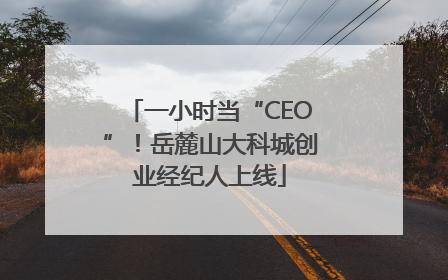 一小时当“CEO”！岳麓山大科城创业经纪人上线