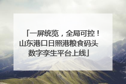一屏统览，全局可控！山东港口日照港粮食码头数字孪生平台上线