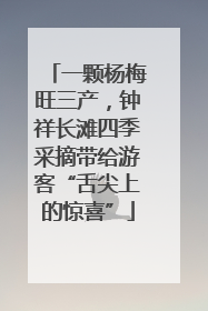 一颗杨梅旺三产，钟祥长滩四季采摘带给游客“舌尖上的惊喜”