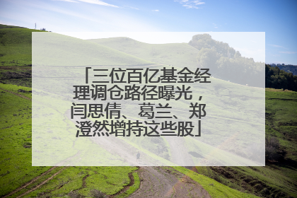 三位百亿基金经理调仓路径曝光，闫思倩、葛兰、郑澄然增持这些股