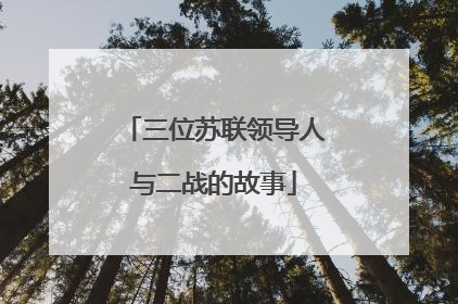 三位苏联领导人与二战的故事