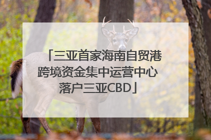 三亚首家海南自贸港跨境资金集中运营中心落户三亚CBD