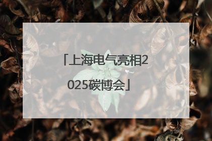 上海电气亮相2025碳博会