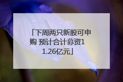 下周两只新股可申购 预计合计募资11.26亿元