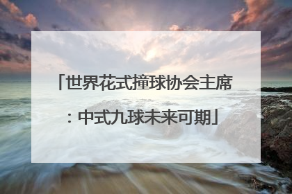 世界花式撞球协会主席：中式九球未来可期