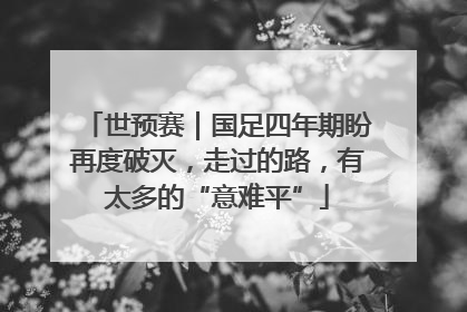 世预赛｜国足四年期盼再度破灭，走过的路，有太多的“意难平”