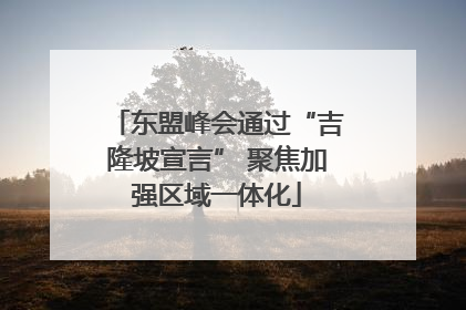东盟峰会通过“吉隆坡宣言” 聚焦加强区域一体化