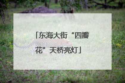 东海大街“四瓣花”天桥亮灯