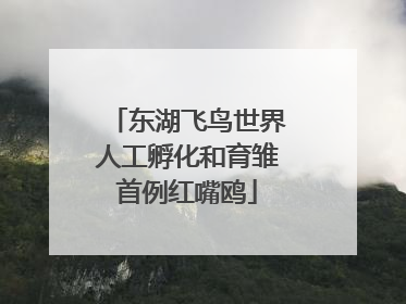 东湖飞鸟世界人工孵化和育雏首例红嘴鸥
