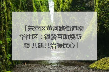 东营区黄河路街道物华社区：银龄互助焕新颜 共建共治暖民心