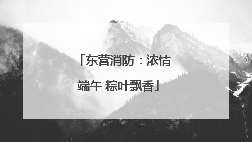 东营消防：浓情端午 粽叶飘香