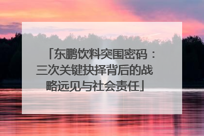 东鹏饮料突围密码：三次关键抉择背后的战略远见与社会责任