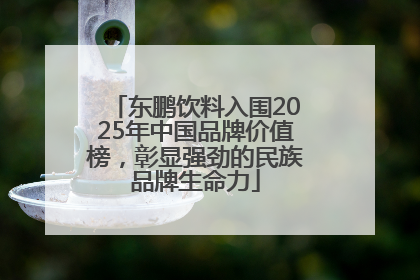 东鹏饮料入围2025年中国品牌价值榜，彰显强劲的民族品牌生命力
