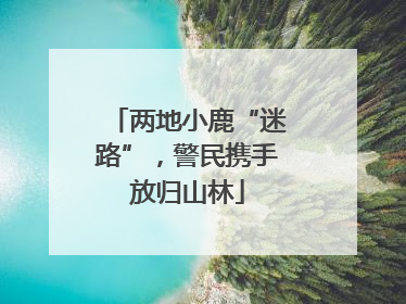 两地小鹿“迷路”，警民携手放归山林