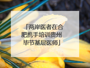 两岸医者在合肥携手培训贵州毕节基层医师