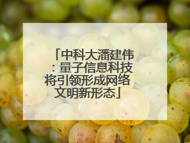 中科大潘建伟：量子信息科技将引领形成网络文明新形态