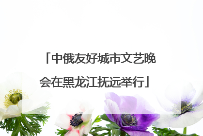 中俄友好城市文艺晚会在黑龙江抚远举行