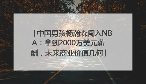 中国男孩杨瀚森闯入NBA：拿到2000万美元薪酬，未来商业价值几何