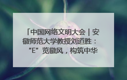 中国网络文明大会｜安徽师范大学教授刘道胜：“E”览徽风，构筑中华民族共有精神家园