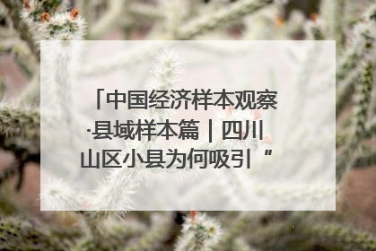 中国经济样本观察·县域样本篇｜四川山区小县为何吸引“村播”扎堆？