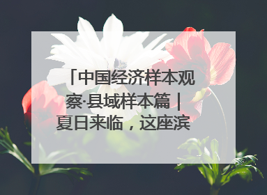 中国经济样本观察·县域样本篇｜夏日来临，这座滨海小城吸引众多年轻人打卡……