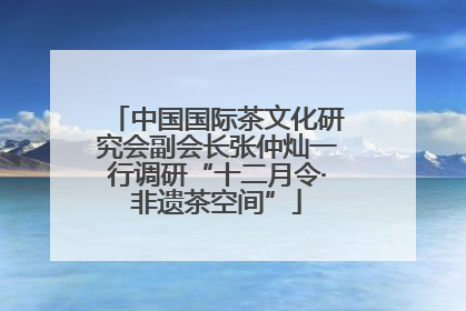 中国国际茶文化研究会副会长张仲灿一行调研“十二月令·非遗茶空间”