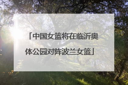 中国女篮将在临沂奥体公园对阵波兰女篮