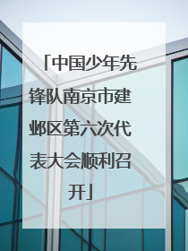 中国少年先锋队南京市建邺区第六次代表大会顺利召开