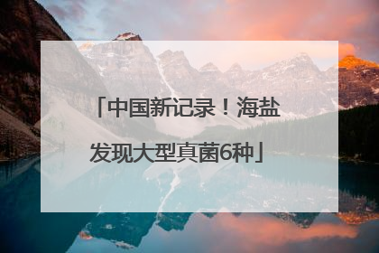 中国新记录！海盐发现大型真菌6种