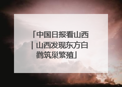 中国日报看山西｜山西发现东方白鹳筑巢繁殖