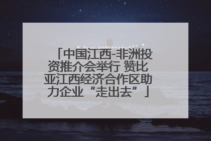 中国江西-非洲投资推介会举行 赞比亚江西经济合作区助力企业“走出去”