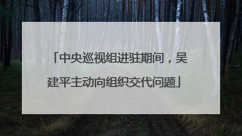中央巡视组进驻期间，吴建平主动向组织交代问题
