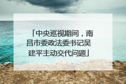 中央巡视期间，南昌市委政法委书记吴建平主动交代问题