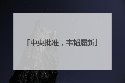 中央批准，韦韬履新