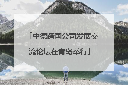 中德跨国公司发展交流论坛在青岛举行